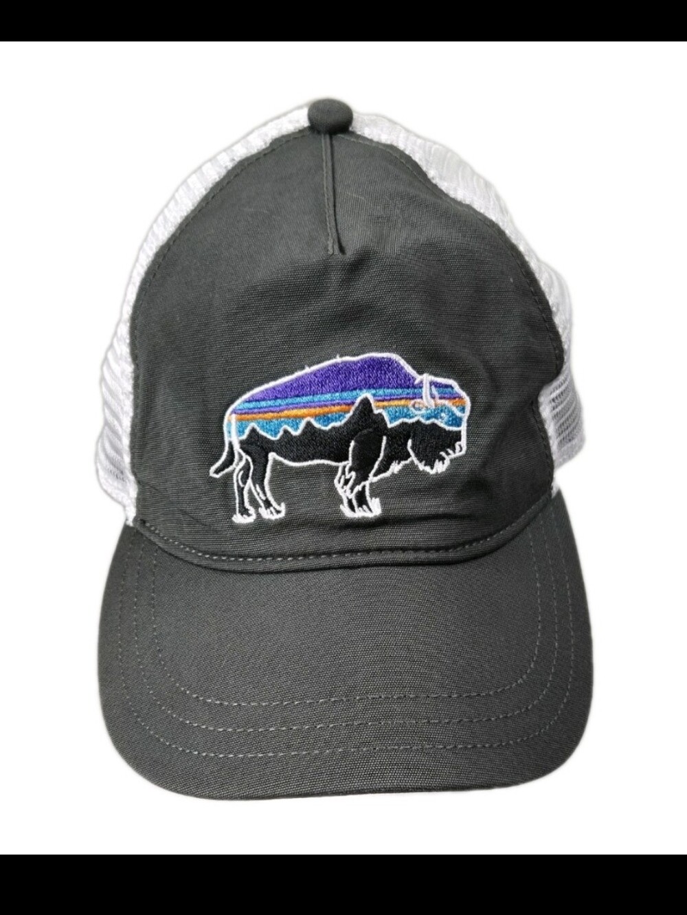 Patagonia Colorblock Fitz Roy Bison Buffalo Gray Snapback Mesh BaseBall Cap  Hat